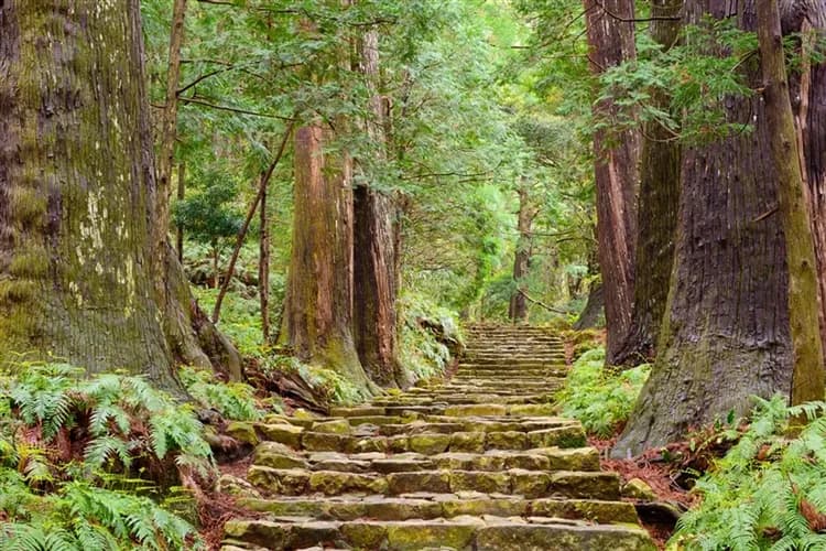 關西南紀旅遊|熊野古道.那智大社.那智瀑布.鬼之城.太地町立鯨魚博物館.伊勢神宮.海女小屋五日|高雄來回