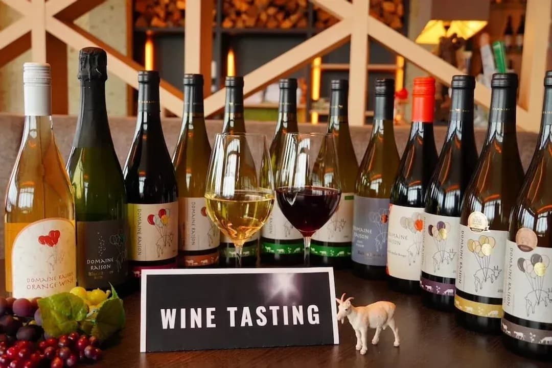 北海道-希托哈納飯店