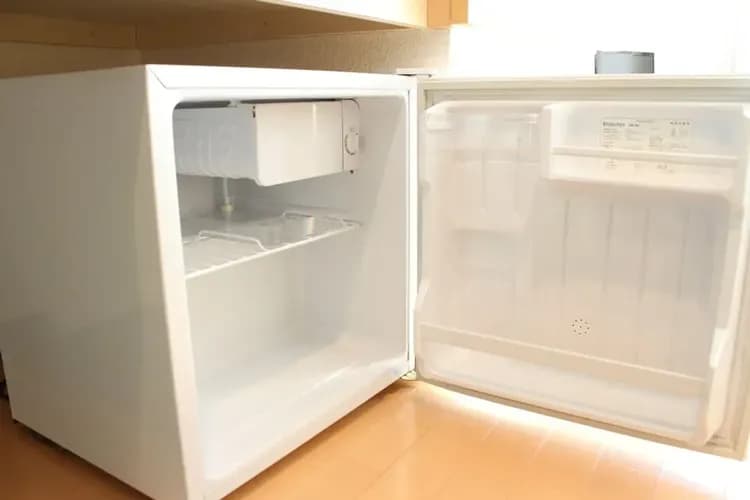 Mini-refrigerator