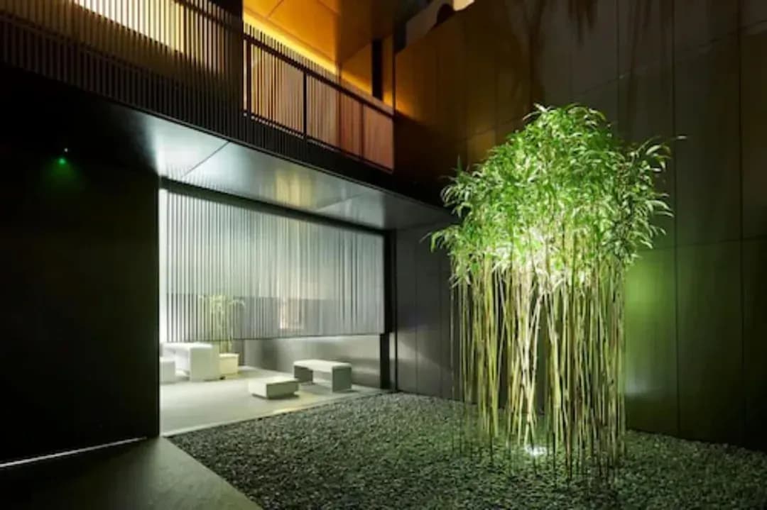 Kyoto Prefecture-Mogana