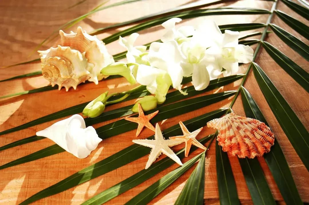 沖繩縣-那卡多瑪旅館設計師飯店