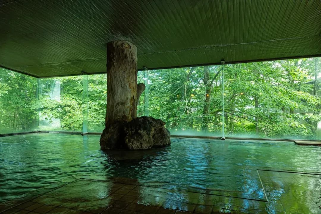 秋田縣-田澤湖龜之井酒店