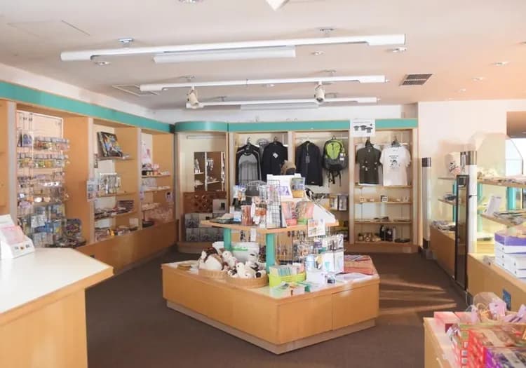 【主題旅遊】FUN_SKI滑雪趣-白馬乘鞍.CORTINA雙雪場滑雪五日遊(小松進出)-6