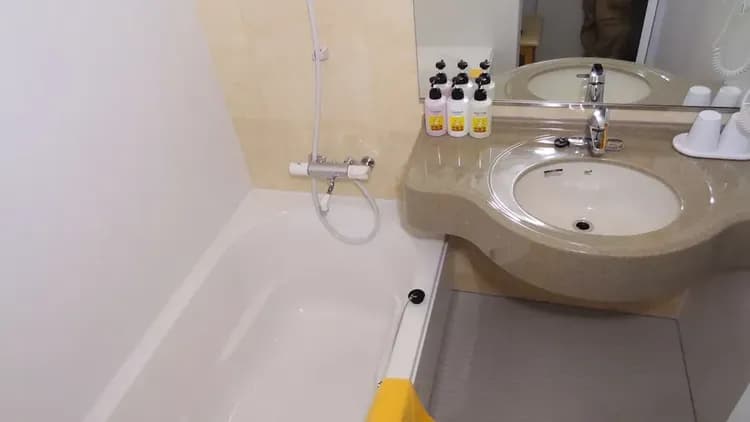 Bathroom sink