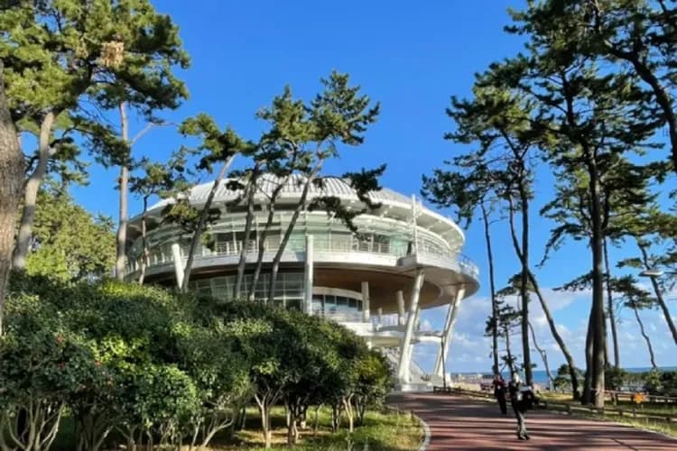 釜慶蔚大玩咖~藝術村咖啡廳、摩天樓觀景臺、天空膠囊列車、世界文化遺產五日-7