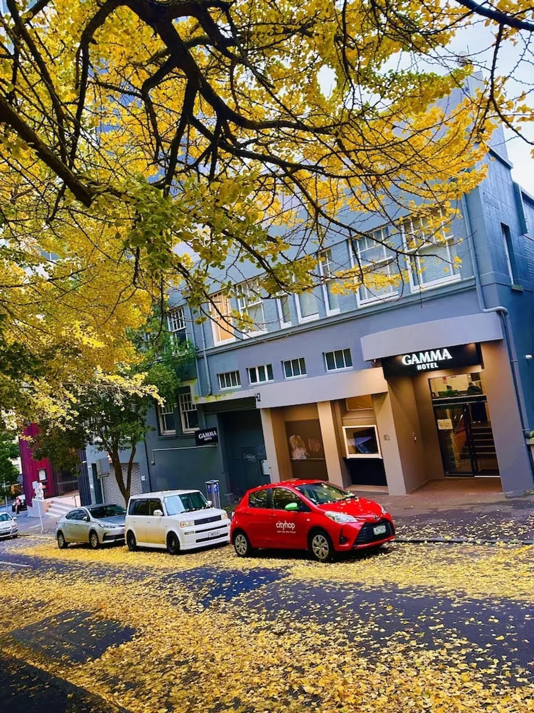 奧克蘭區-Gamma 飯店