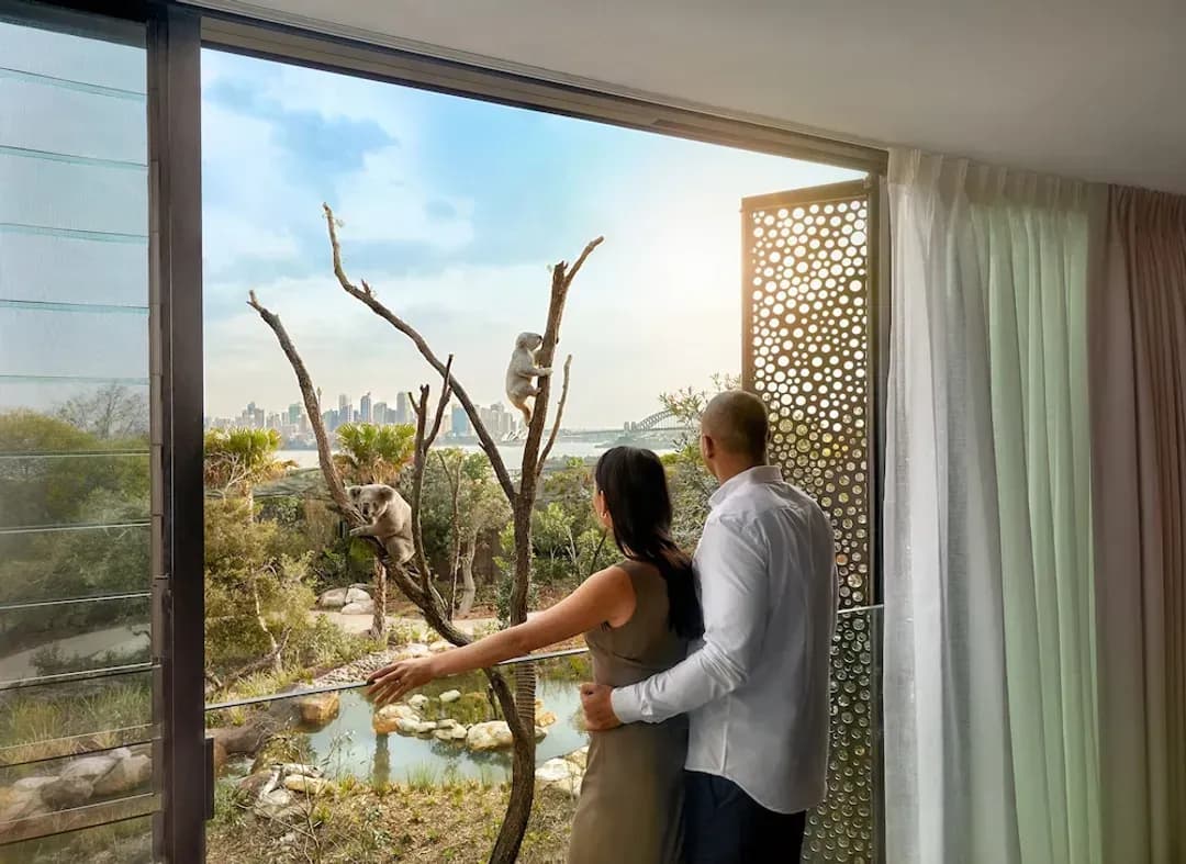 광역 시드니 지역-와일드라이프 리트리트 앳 타롱가