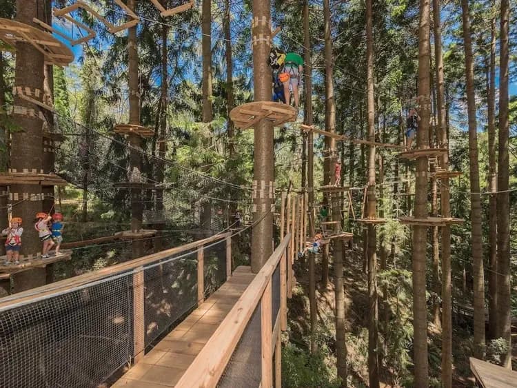 Ropes course (team building)