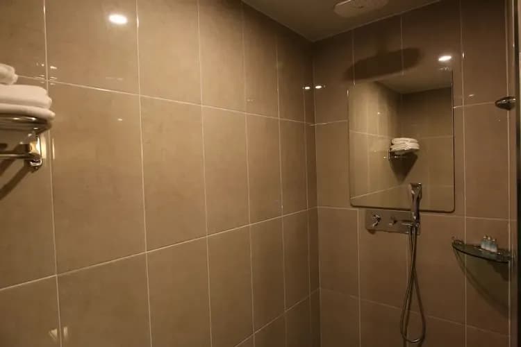 Bathroom shower