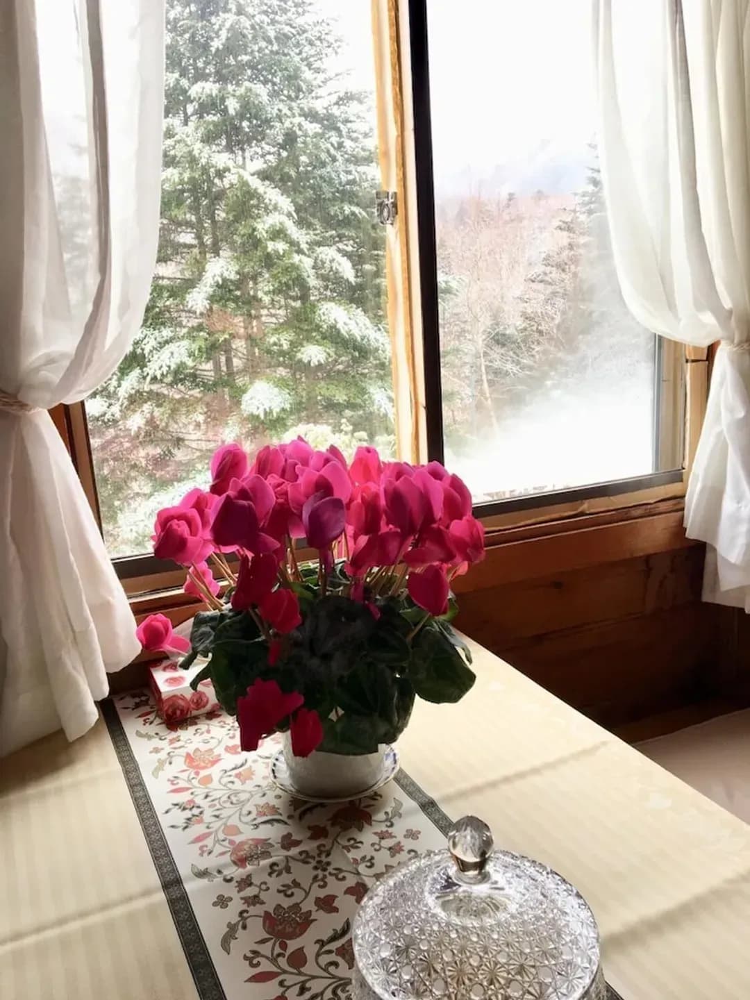 Gunma-ken-Pension Poka Poka