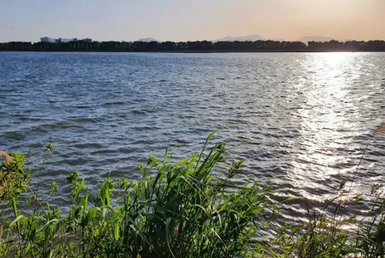 賞櫻預購折2000|釜山旅遊|鎮海春櫻絕美仙境·櫻花隧道~海雲台迎月·膠囊列車賞櫻·(一站購物彩妝)五日-8