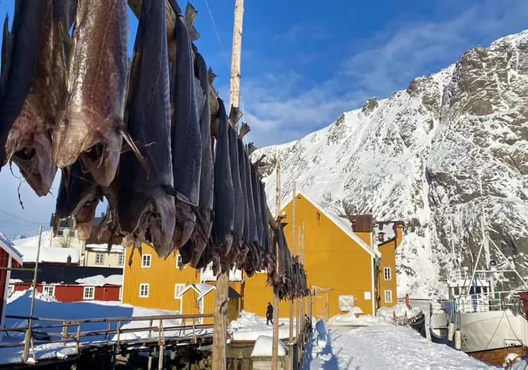 紐斯菲爾 Nusfjord