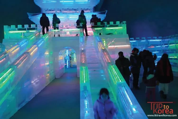 華川山鱒魚冰釣祭典