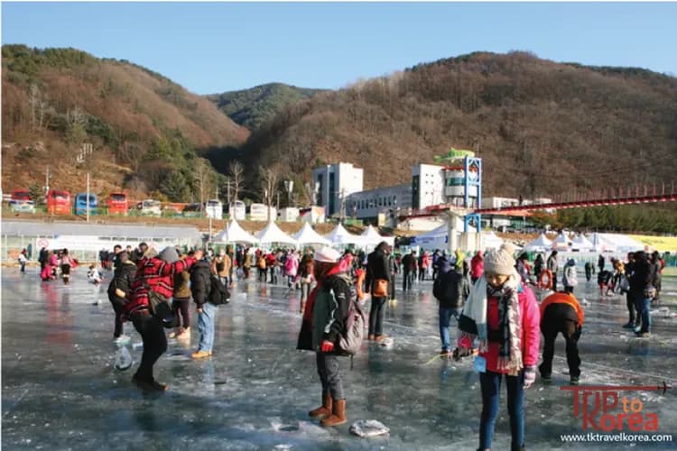 華川山鱒魚冰釣祭典