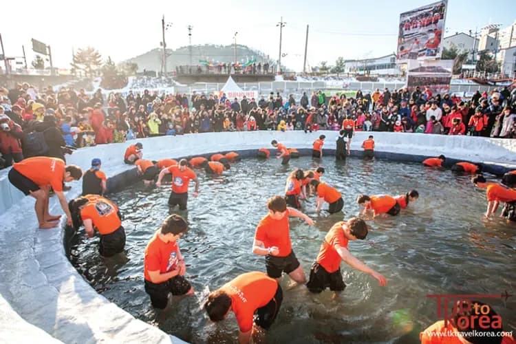 華川山鱒魚冰釣祭典