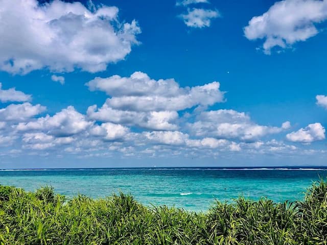 バルコニーからの眺め