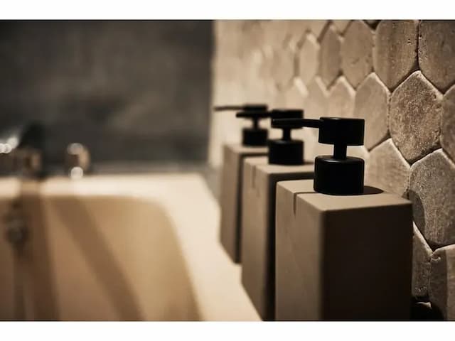 LOGIN OKINAWA -salt--LOGIN OKINAWA -salt--13