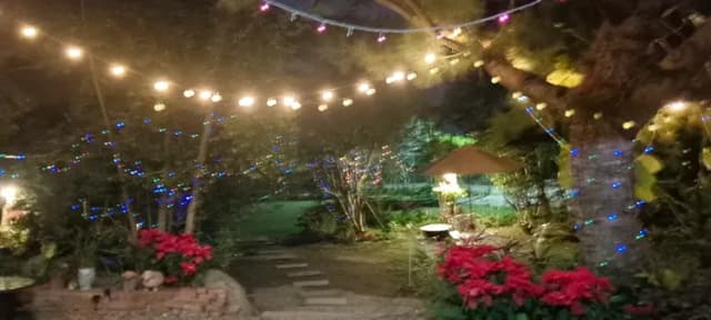 小樹露營屋、自搭帳-【露營屋】喜歡雙人套房-10