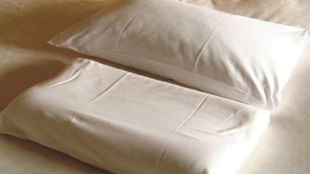 Two types of pillows that are important for a good night's sleep, "low-resilience pillow" and "feather pillow"