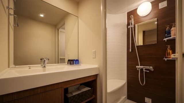 天然溫泉 三颯之湯 Dormy Inn飯店盛岡|近櫻山神社/JR盛岡站步行12分-豪華雙床房【不挑房】-3