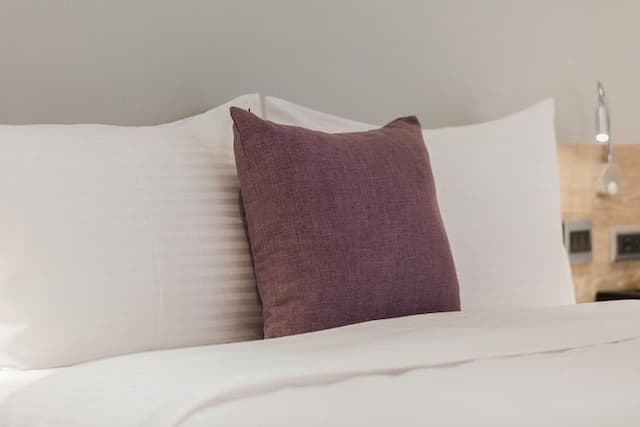 Le Meridien Bed and Breakfast-Deluxe Room 301-8