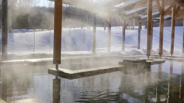 ANA全日空皇冠渡假飯店 安比高原|機場接駁 (需預約)/近安比高原滑雪場-標準雙床房【不挑房】-6