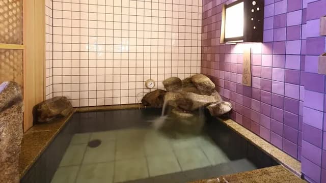 天然溫泉 金華之湯 Dormy Inn 岐阜站前|岐阜站徒歩8分/岐阜城開車13分-經濟單人房【不挑房】-3