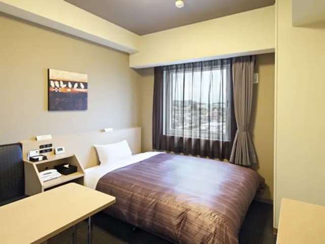 Hotel Route-Inn Takaoka Ekimae-Standard Single Room-1