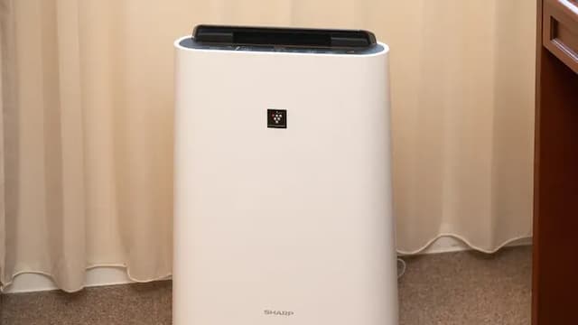 All rooms have air purifiers and humidifiers