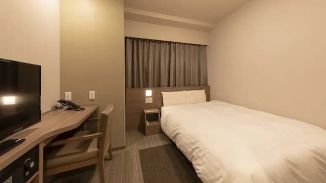 福井Dormy Inn PREMIUM|大浴場/福井站徒步7分/福井縣立美術館搭電車15分-雙人房【不挑房】-2