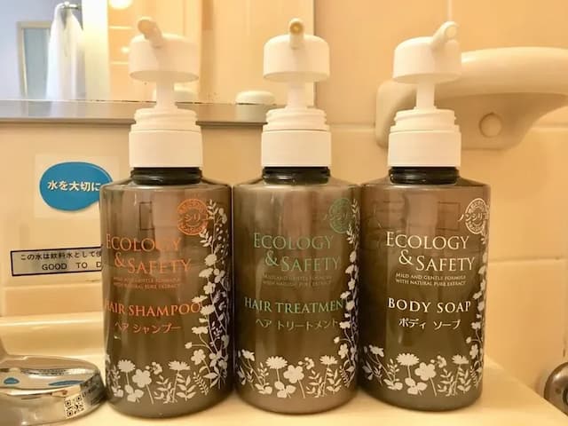 福井藤田飯店|福井車站徒步10分/福井城址徒步10分/恐龍博物館開車50分-豪華雙人房【不挑房】-3