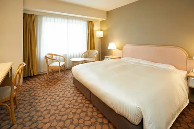 福井藤田飯店|福井車站徒步10分/福井城址徒步10分/恐龍博物館開車50分-豪華雙人房【不挑房】-1