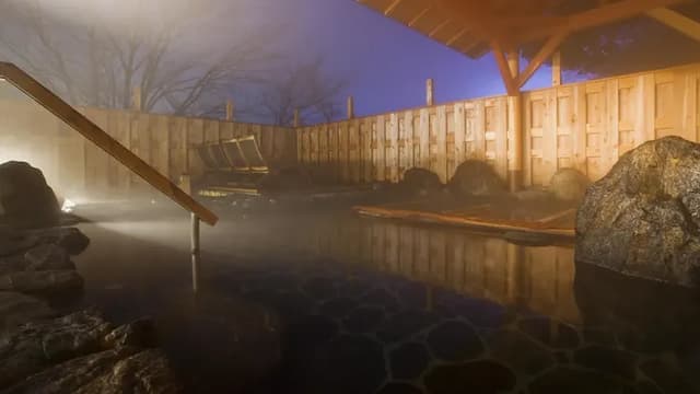 Japanese style twin pottery type whole room