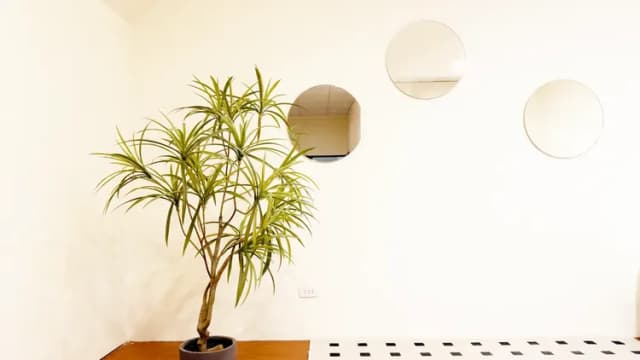 Taitung Puyuma Style Inn-Family Suite - No Window-8