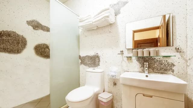 Taitung Puyuma Style Inn-Family Suite - No Window-9