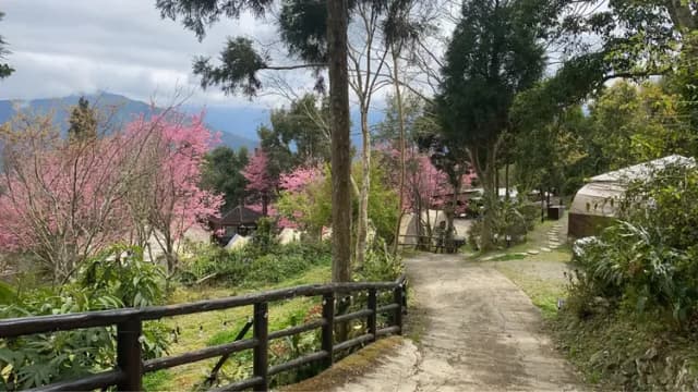 貝德拉蔓露營區 |獨家85折起! 一泊三食豪華露營、五峰高海拔觀星、再享手作 DIY 體驗-【懶人露營】C 球屋|2~5人-15