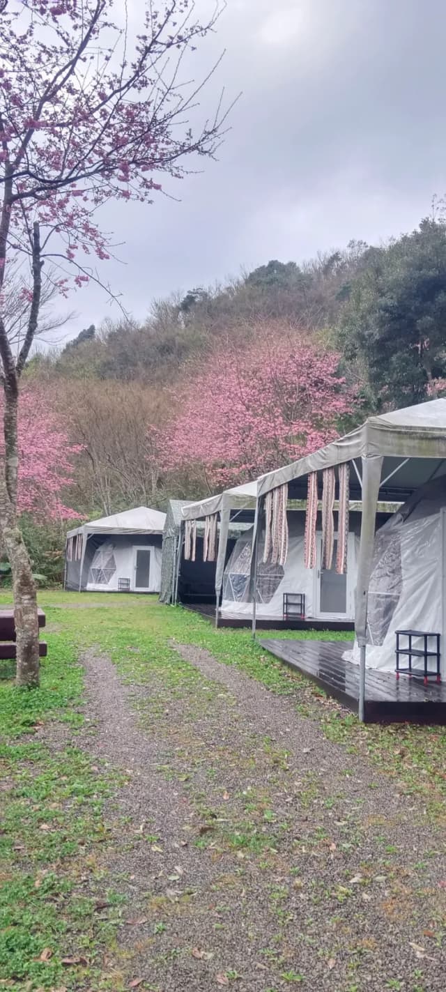 貝德拉蔓露營區 | 一泊三食豪華露營-【懶人露營】C 球屋|2~5人-9