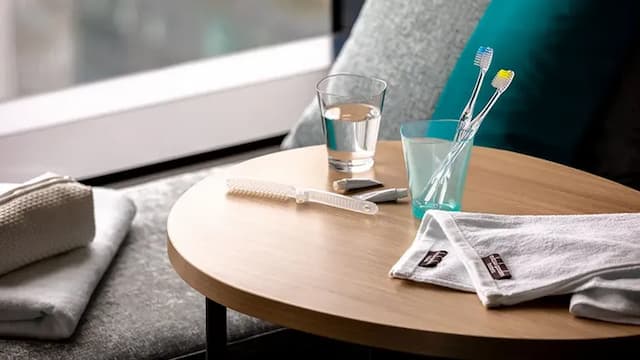 三井花園飯店 豐洲普米爾|大眾浴場/豐洲站步行2分/方便至豐洲市場&千客萬來-三人房|可帶不佔床兒童(0-5歲) 3位【不挑房】-3