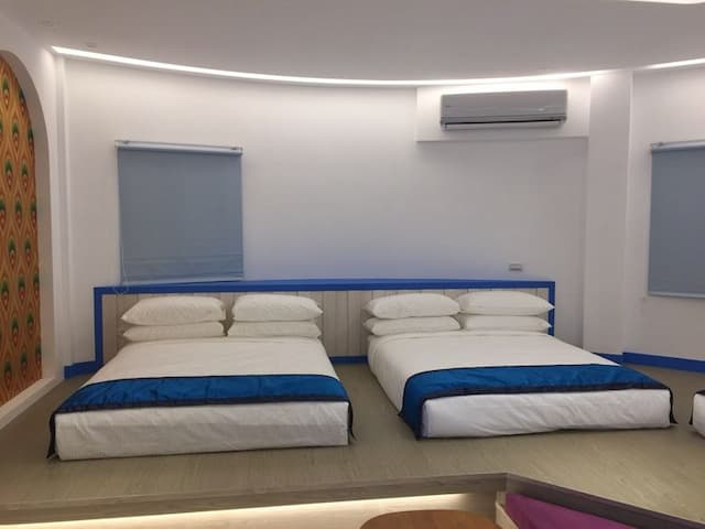 Cicada said Green Homestay-Apollo-3