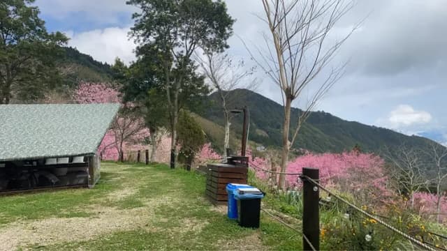 貝德拉蔓露營區 |獨家85折起! 一泊三食豪華露營、五峰高海拔觀星、再享手作 DIY 體驗-【懶人露營】B 木屋|2~5人-15