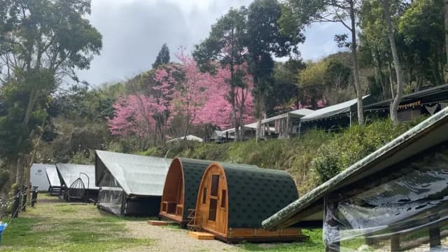 貝德拉蔓露營區 |獨家85折起! 一泊三食豪華露營、五峰高海拔觀星、再享手作 DIY 體驗-【懶人露營】B 木屋|2~5人-8