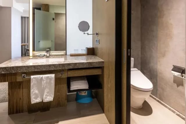 新悦花園酒店|親子主題、寵物友善-『快閃優惠』精緻客房(一大床)-5