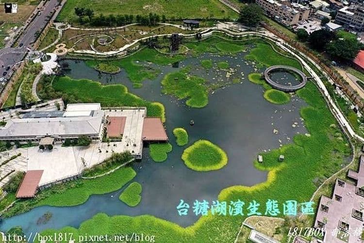 挪威森林文創館|超大溜滑梯、孩童滑步車道-18