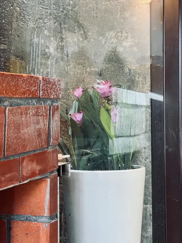 小喵喵海景民宿 | 2-6人包棟&海景 | 九份老街-小喵喵幸福(二) | 樓中樓包棟-12